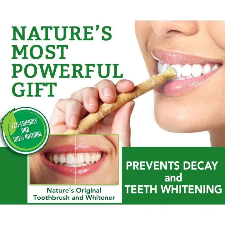 28839 miswak benefits