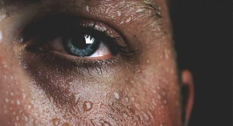 28848 diaphoresis overview