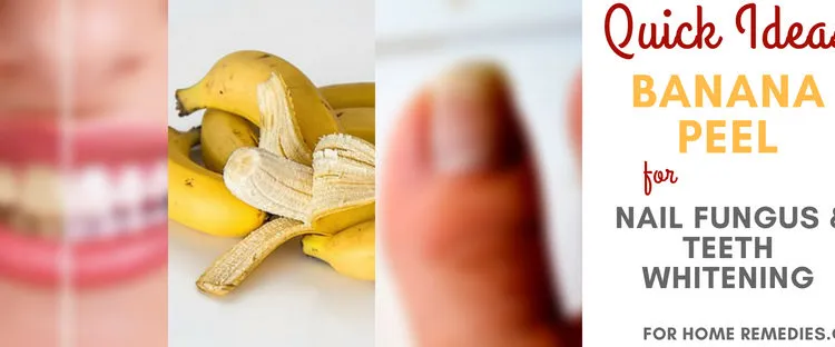 28906 snopes analysis