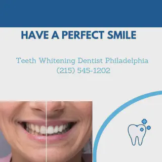 /img/28959-dental-checkups.webp